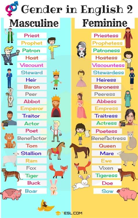 Gender Of Nouns In English • 7esl