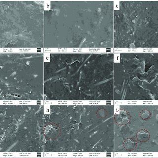 Sem Image A And Raman Spectrum B Of The Agnws Rgo Composites The