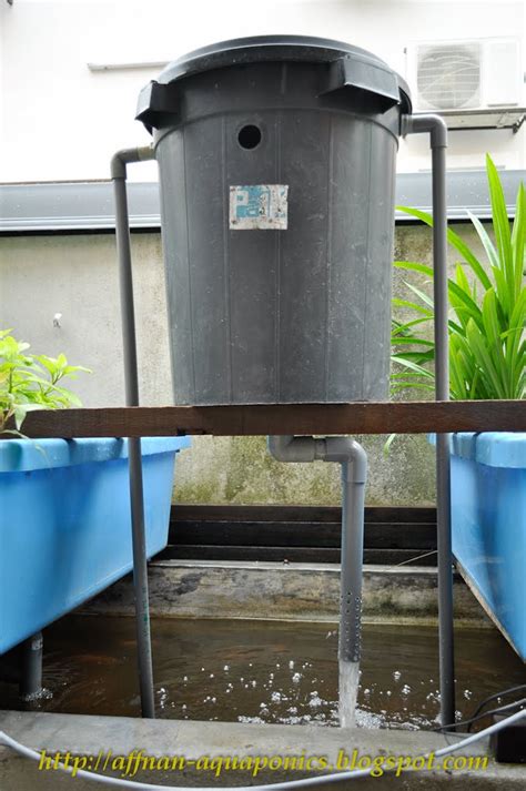 Affnans Aquaponics Siphon Barrel A Just For Fun Project