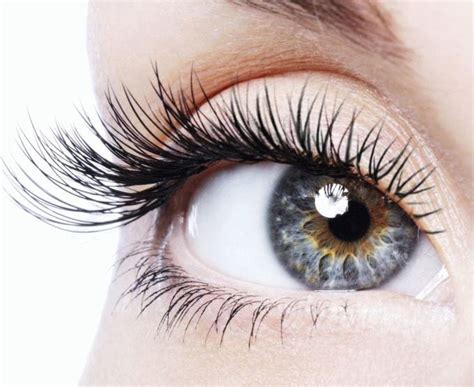 Все о силиконовой туши для ресниц. Силиконовая тушь для ресниц: обзор ...