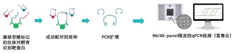 Olink蛋白标志物检测解决方案