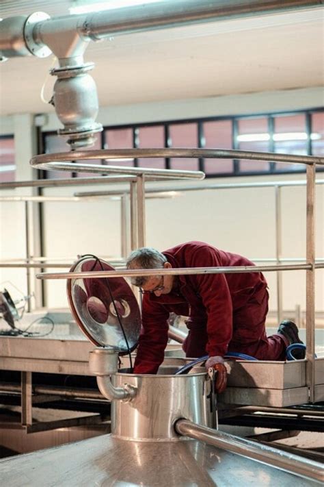 As Es El Proceso De Fermentaci N Del Vino Bodegas Marqu S Del Atrio