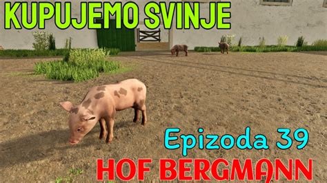 KUPUJEMO SVINJE HOF BERGMANN MAPA EPIZODA 39 YouTube