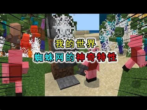 我的世界你不知道的蜘蛛网特性可以制作陷阱还能挡住阳光 YouTube