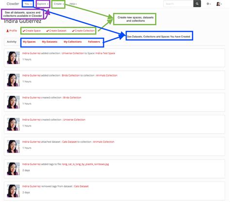 home page clowder  documentation