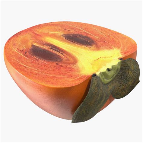 mitad de fruta de caqui modelo   ds blend cd fbx max ma