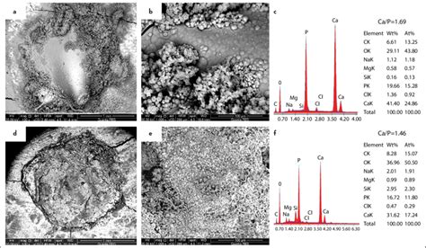 Morphology And Elemental Composition Of Surface Precipitates On