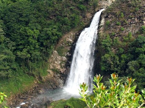 LOS SALTOS ECOPARQUE La Ceja 2022 Qué saber antes de ir Lo más