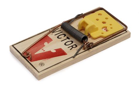 Mousetrap Wikipedia