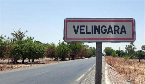 Vélingara Exploitation du sable de dunes dans la commune de Saré Coly