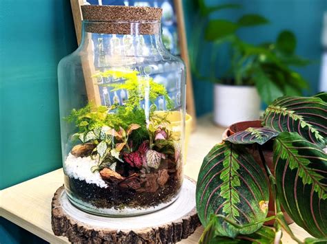 DIY Tall Light Up Closed Terrarium – DIY Terrariums