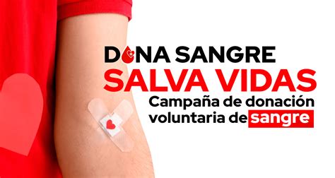 Campa A De Donaci N Voluntaria De Sangre En La Provincia De