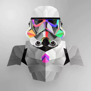 stormtrooper pfp