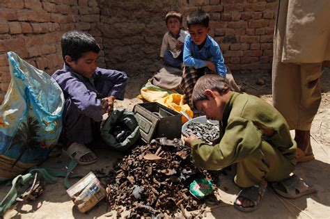 Next To U S Firing Range In Afghanistan A Village Of Victims The