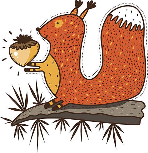 Squirrels Eating Nuts Cartoon Illustrations, Royalty-Free Vector ...