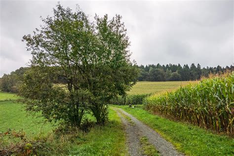 Natursteig Sieg Etappe