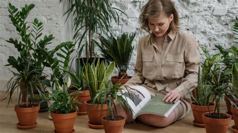 Prepare Seu Jardim Para O Frio Como Cuidar Das Plantas Durante O Inverno