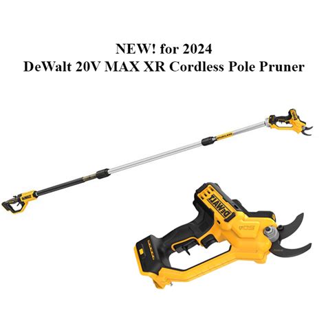 New Dewalt Tools 2024 Bell Marika