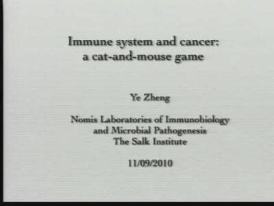 Ye Zheng Immune System And Cancer A Cat And Mouse Game Salk Institute