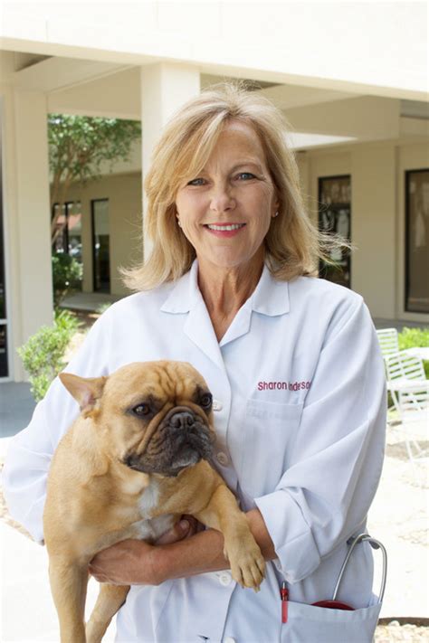 Veterinarian In Houston Tx Memorial Veterinary Clinic