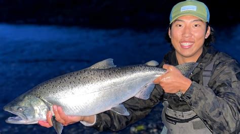 Chinook Spring Salmon On The Vedder River I Joined The Gong Show