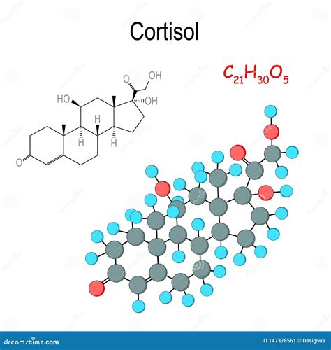 Cortisol Chemical Structural Formula And Model Of Hormone Molecule