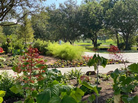 Learn why everyone is flocking to the botanical gardens Houston this week