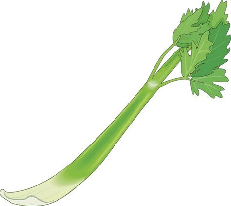 17+ Thousand Celery Stalk Royalty-Free Images, Stock Photos & Pictures | Shutterstock