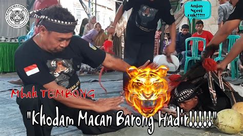 Kita Ditipu Rahasia Besar Mbah Tembong Mempunyai Khodam Macan