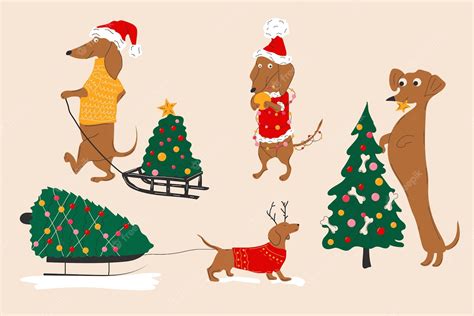 Premium Vector Dachshunds Dogs Pulls A Christmas Tree On A Sleigh And