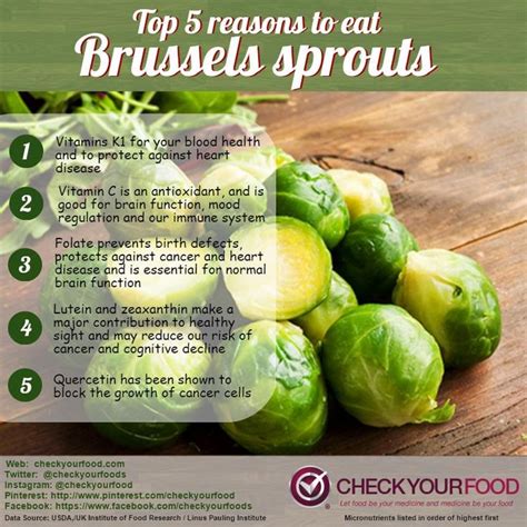 The Health Benefits Of Brussels Sprouts Check Your Food Brussel