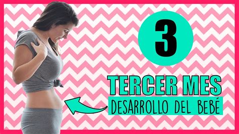 ️ Tercer Mes De Embarazo Como Esta El Bebe 🤰 Qué Se Siente En El