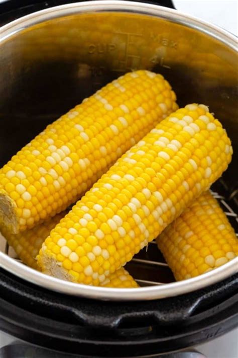 Best Way To Cook For A Crowd Corn On Cob Recipes Reviews Webb Perclovery