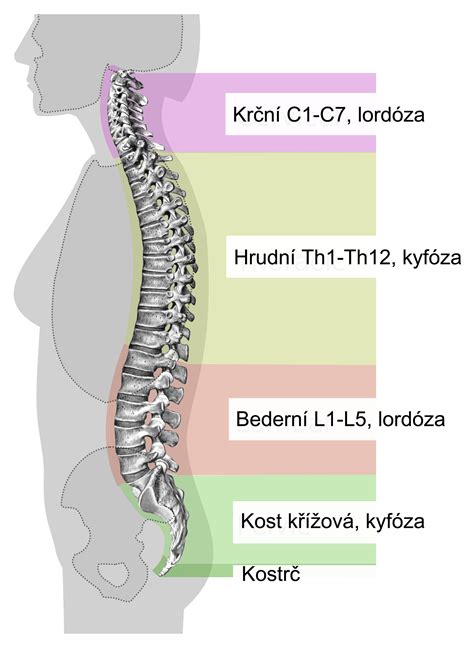 Boříme Mýtus Zatlač Bedra Do Podložky