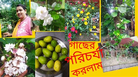 গাছের যত্ন আমি কিভাবে করি দেখুন। আমার বাড়িতে কি কি গাছ আছে গাছের