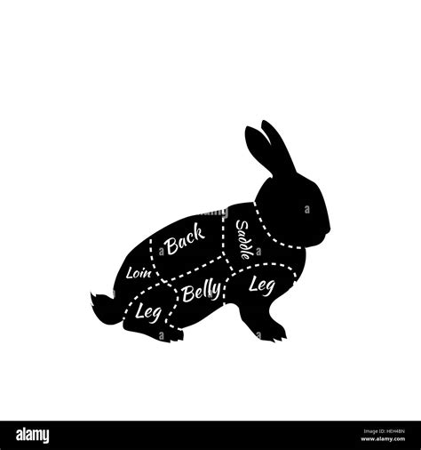 Typographic Rabbit Butcher Cuts Diagram Vintage Diagram Guide For