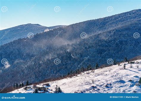 Roan Mountain Stock Image Image Of Appalachian Roan 85661749