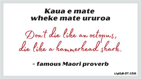 66 Maori Proverbs, Sayings & Quotes + Meanings - Lingalot