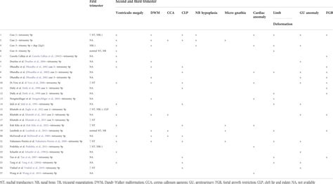 Frontiers Cases Of Tetrasomy P And Trisomy P In Prenatal Diagnosis