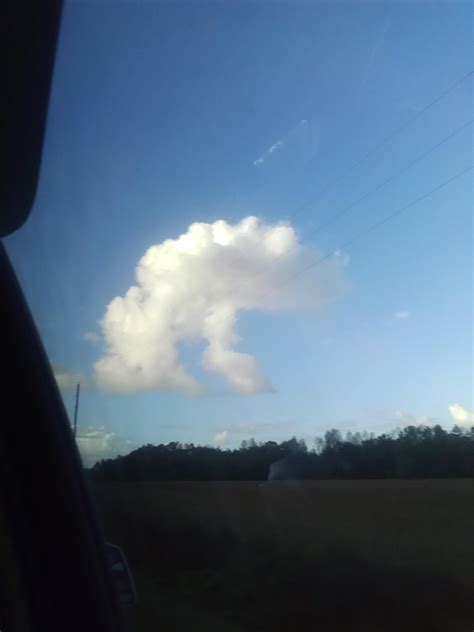 mushroom cloud : r/mildlyinteresting