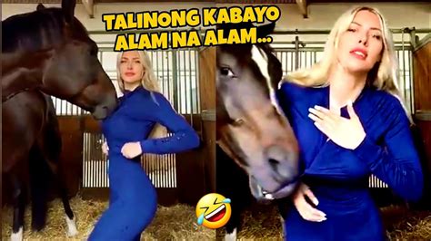 Grabe Ganito Pala Kahusay Ang Kabayo Na To Tagalog Funny Video