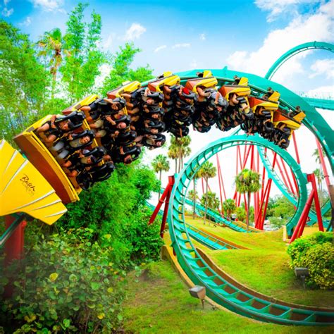 Busch Gardens Yombu