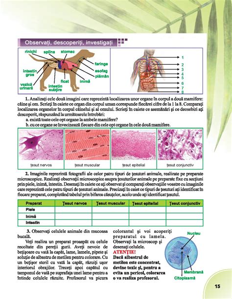 Biologie Pentru Clasa A VI A A531 Pdf Pag 15