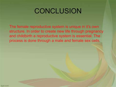 Anatomy Of Female Genital Tract Ppt