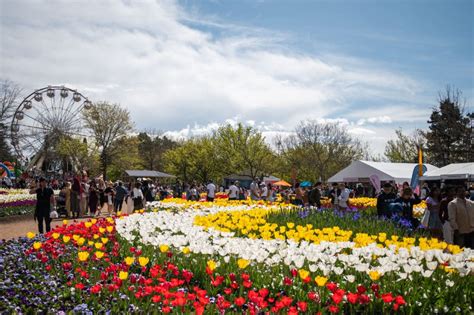 See Over 1 Million Blooming Flowers At Floriade Festival - Secret Sydney