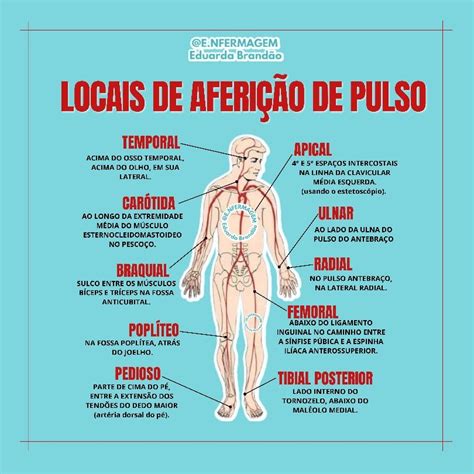 Locais de aferição de pulso Tecnico em enfermagem Curso tecnico de