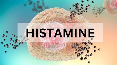 How To Lower Your Bodys Histamine Response