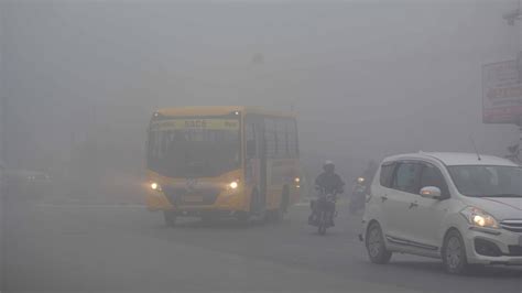 Delhi Fog Consider These ‘safety Tips If You Are Travelling By Road