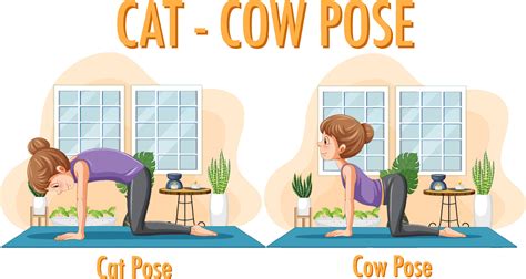 Yoga at home with cat cow pose 12404237 Vector Art at Vecteezy