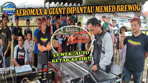 Detik Aeromax Giant Gass Pol Penonton Auto Ketar Ketir Di Pantau